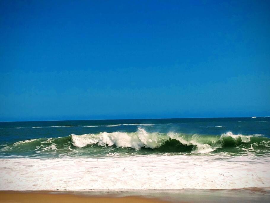 Aloha Sertao Flats Sao Sebastiao  Bagian luar foto